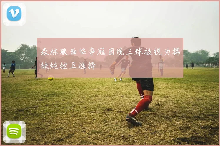 森林狼面临争冠困境三球被视为稀缺纯控卫选择