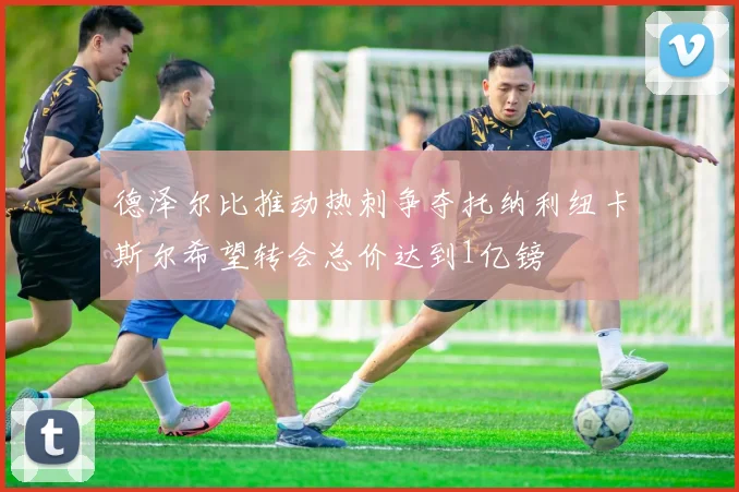 德泽尔比推动热刺争夺托纳利纽卡斯尔希望转会总价达到1亿镑